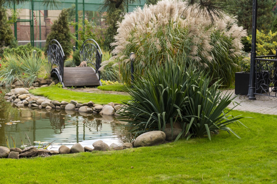 Sfaturi practice pentru grădini