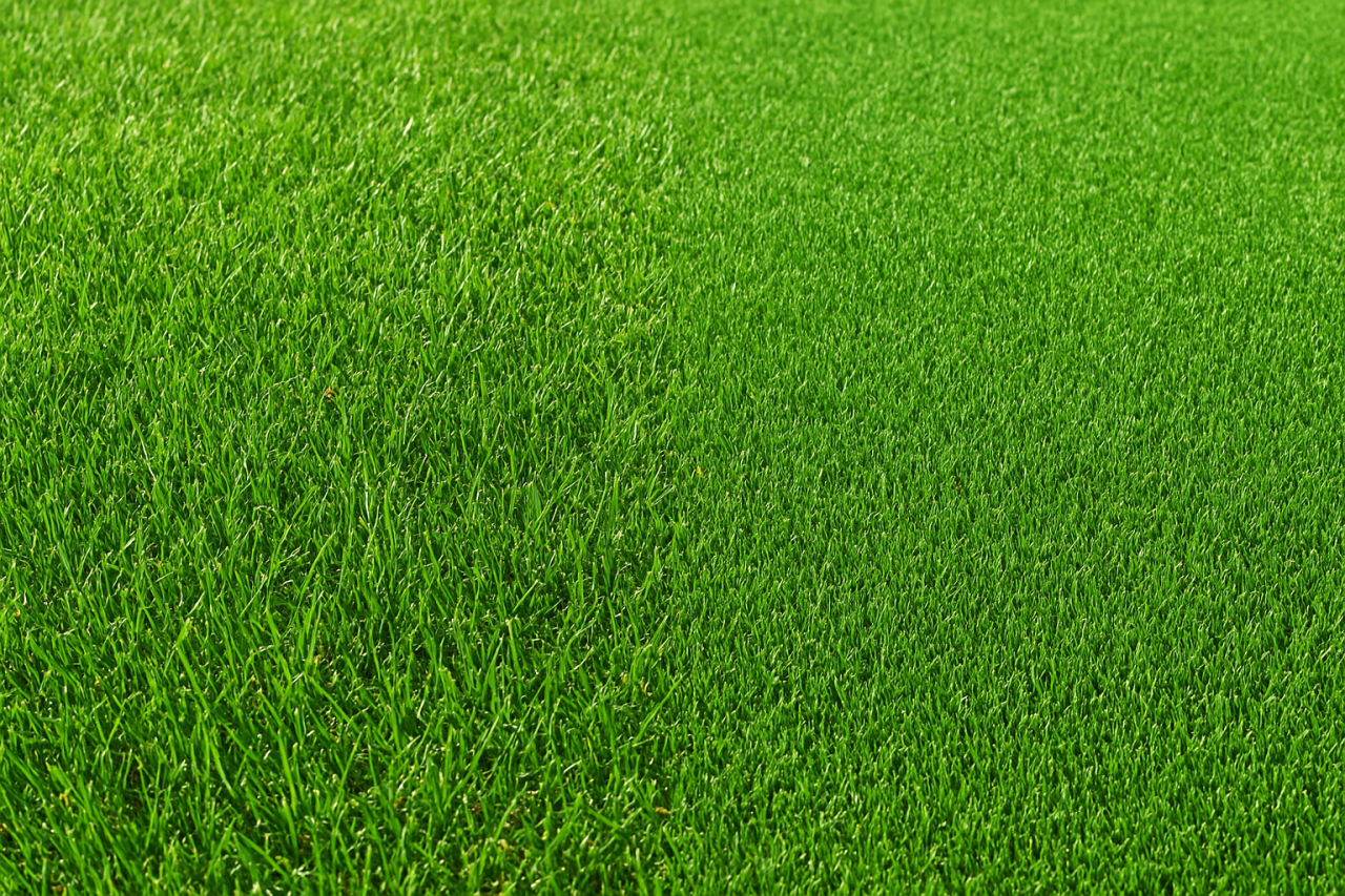 Gazon natural vs gazon artificial – ce alegi pentru spațiul tău