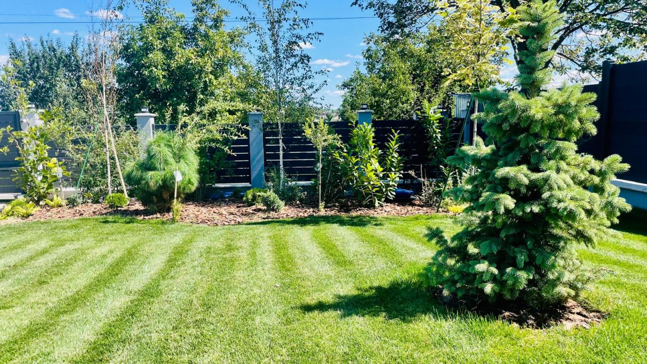 Sfaturi practice pentru grădini