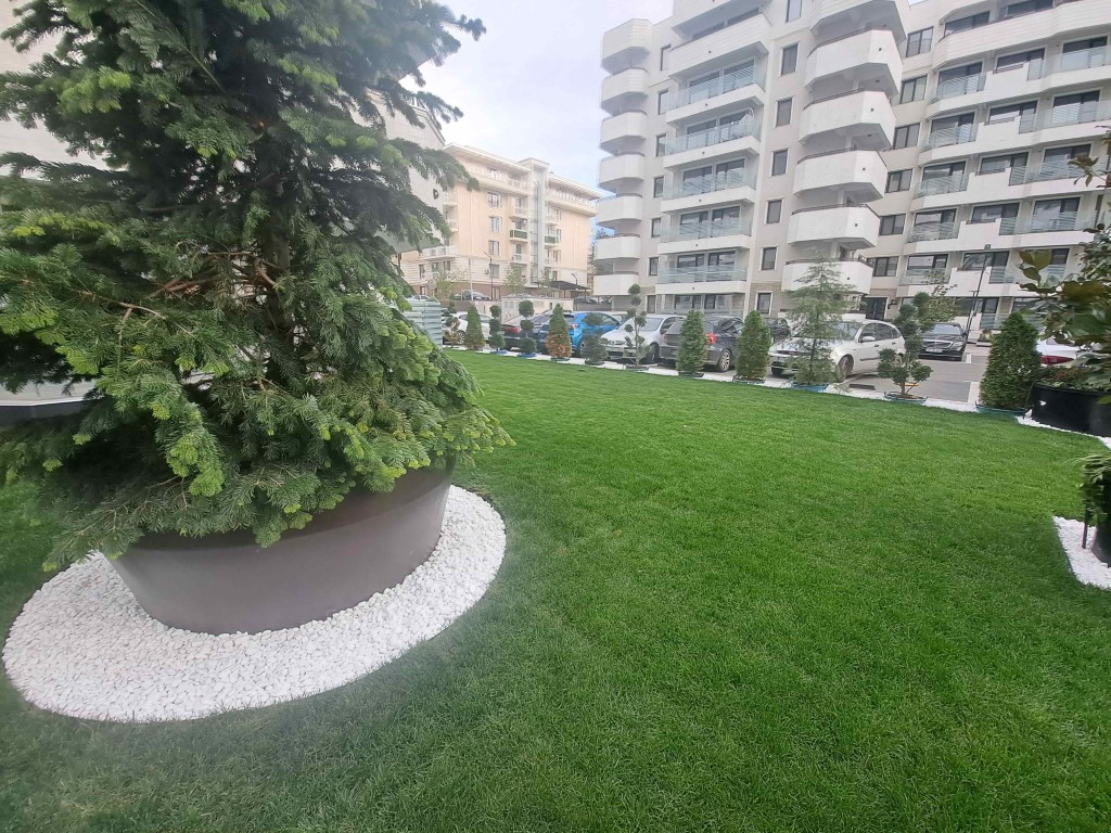 Amanajare spatiu verde royal town