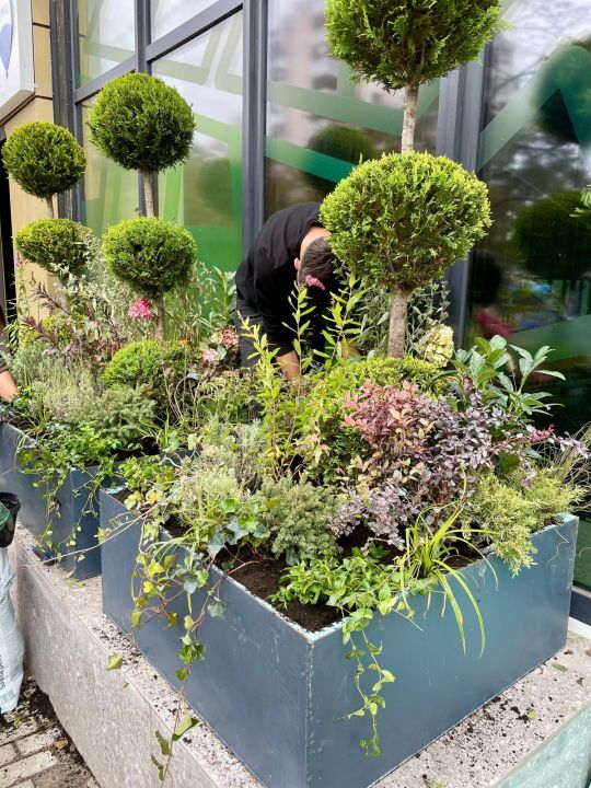 Cum să amenajezi spații exterioare cu jardiniere metalice