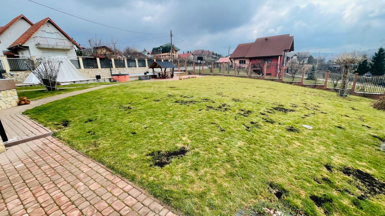 Gazonul afectat: cauze, soluții și cum să-l readuci la viață